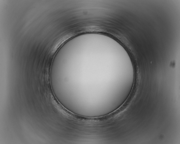 X0000112500889200908241347