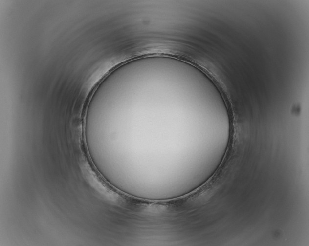 X0000112500890200908241347