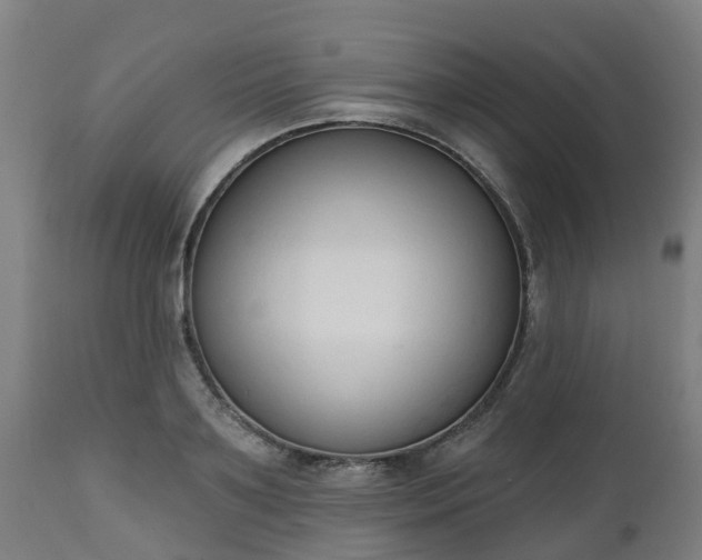 X0000112500891200908241347