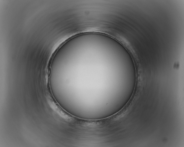 X0000112500892200908241347