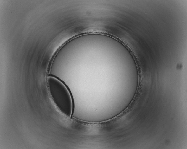 X0000112500893200908241347