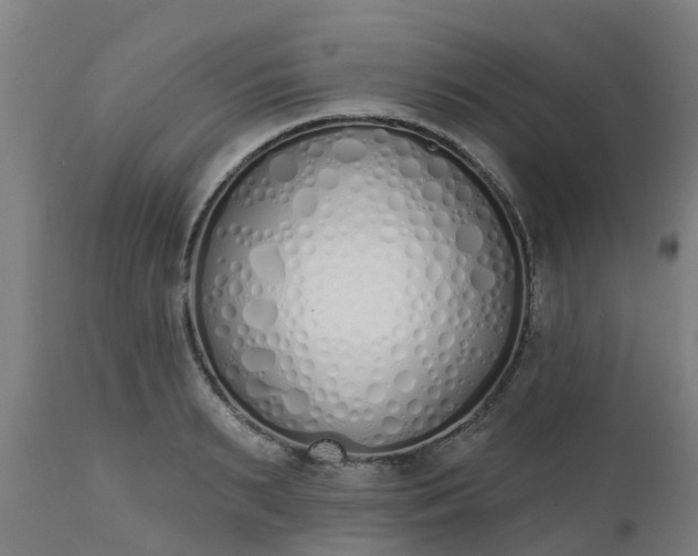 X0000112500895200908241347