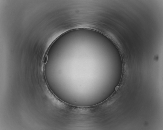 X0000112500900200908241346