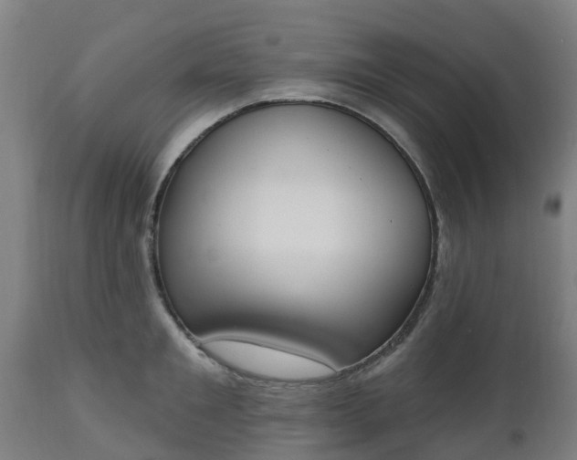 X0000112500901200908241346