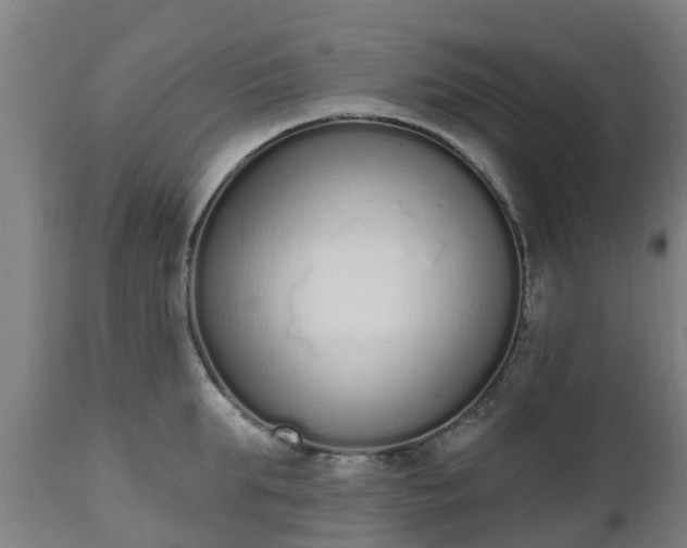 X0000112500903200908241346