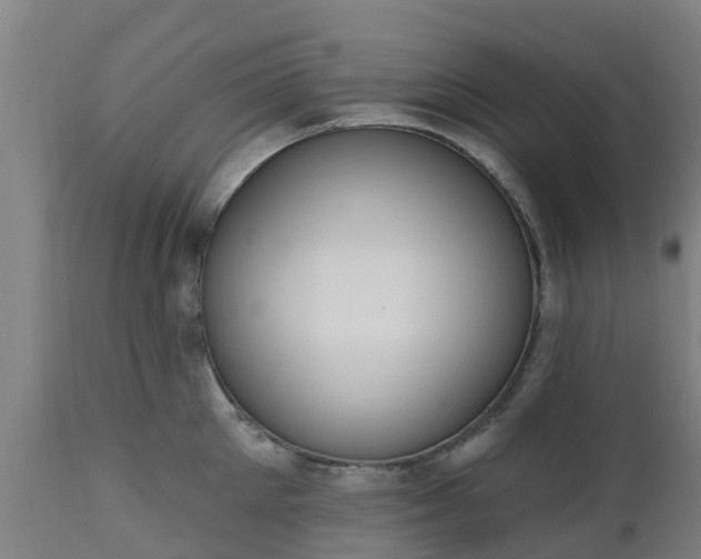 X0000112500905200908241346