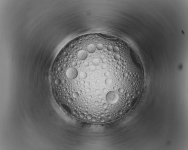 X0000112500907200908241346