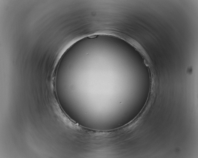 X0000112500908200908241346