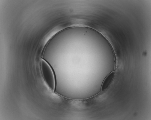 X0000112500909200908241346