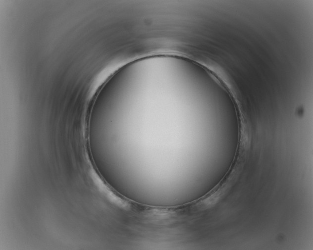 X0000112500910200908241346