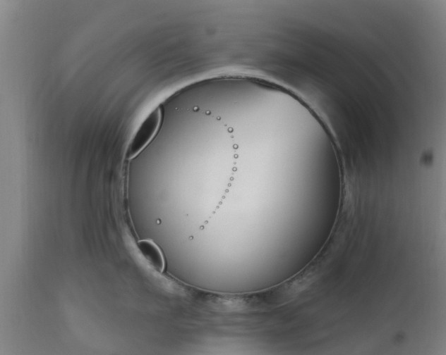 X0000112500911200908241346