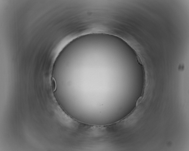 X0000112500912200908241346