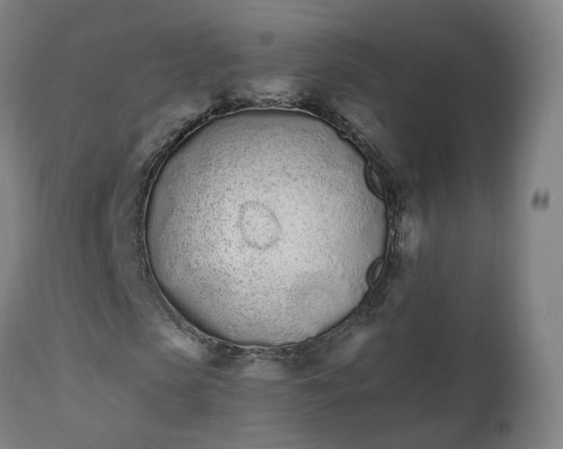 X0000112500913200908241346