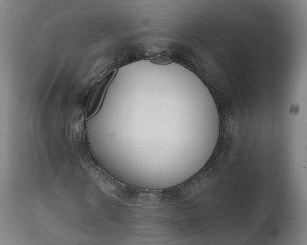 X0000112500914200908241346