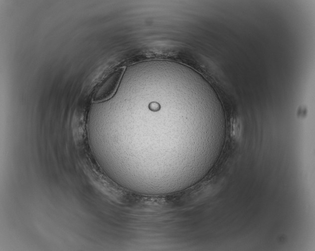 X0000112500915200908241346