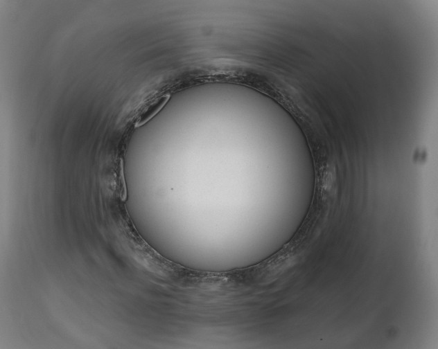 X0000112500916200908241346