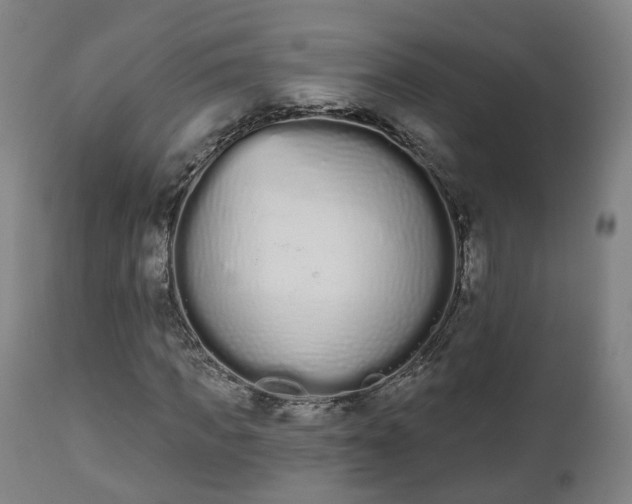 X0000112500917200908241346