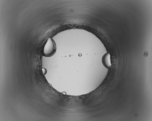 X0000112500918200908241346