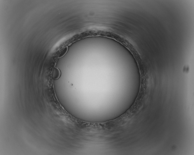 X0000112500919200908241346