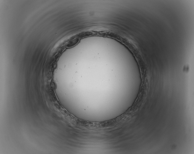 X0000112500920200908241346