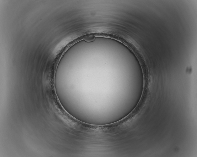 X0000112500922200908241346