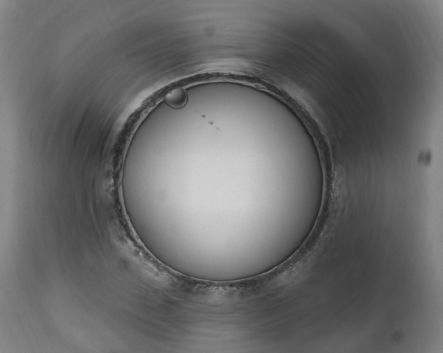 X0000112500923200908241346