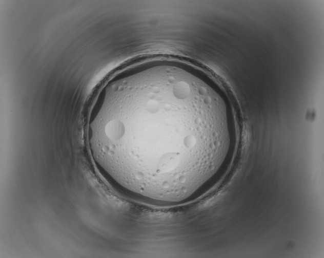 X0000112500925200908241346