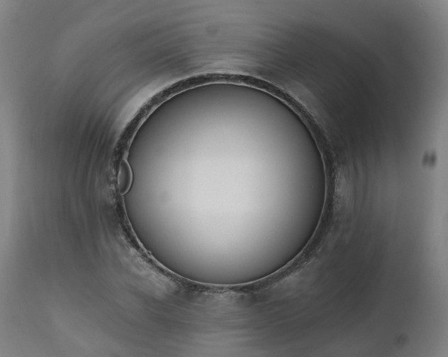 X0000112500926200908241346