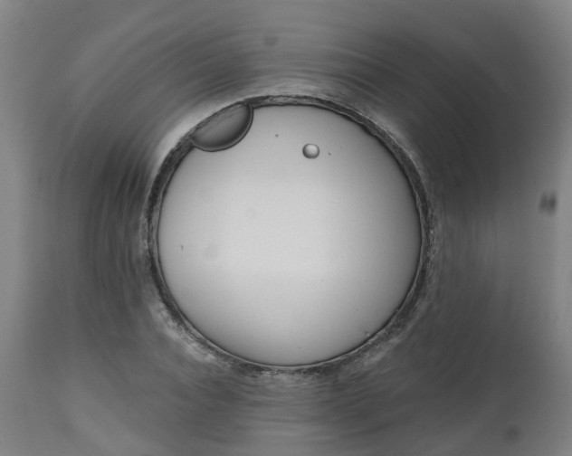 X0000112500928200908241346