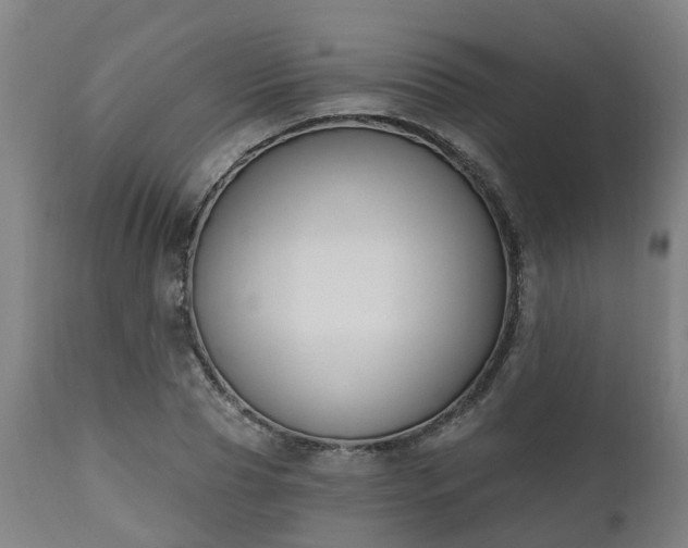 X0000112500929200908241346