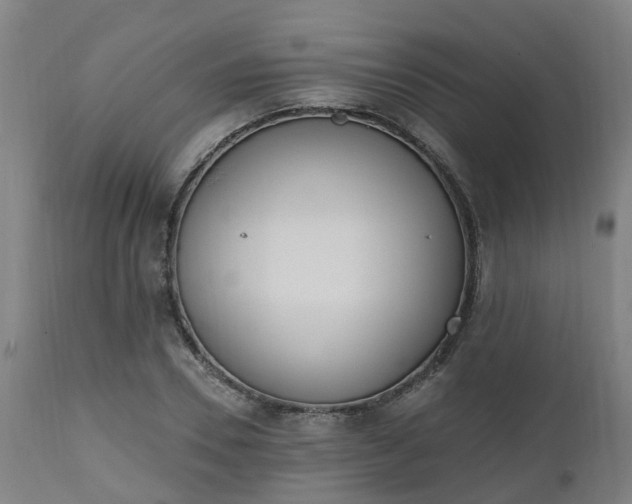 X0000112500930200908241346