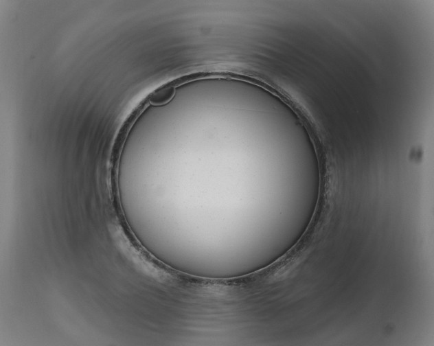 X0000112500932200908241346