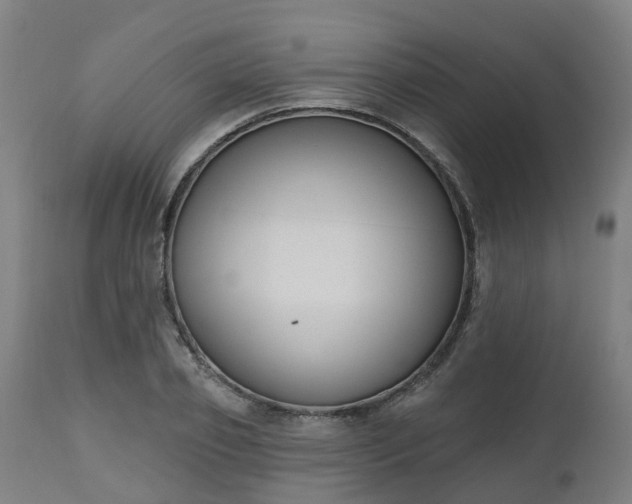 X0000112500933200908241346