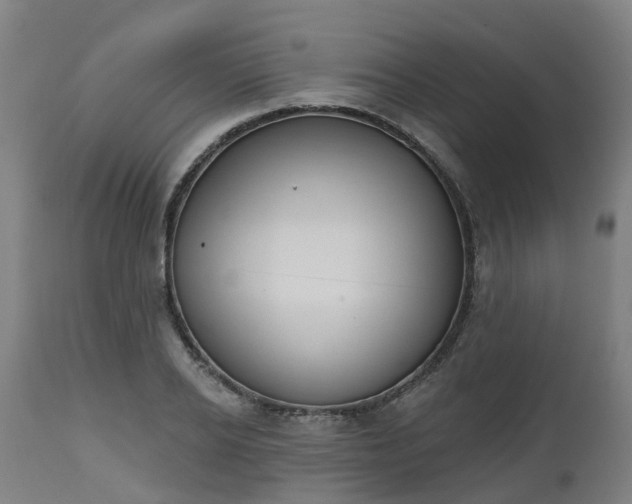 X0000112500934200908241346