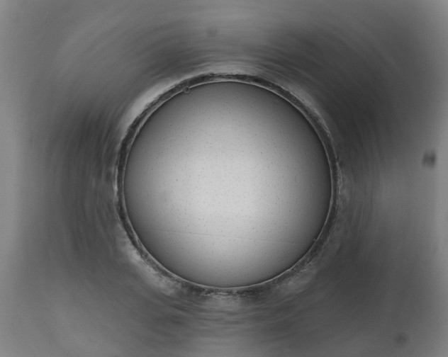 X0000112500935200908241346