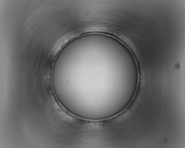 X0000112500937200908241346