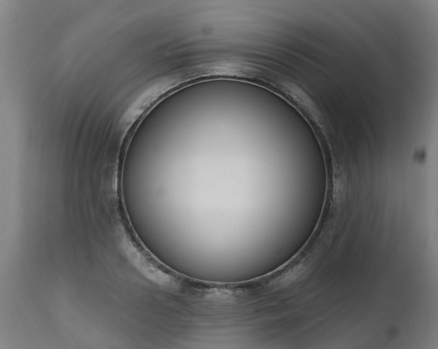 X0000112500938200908241346