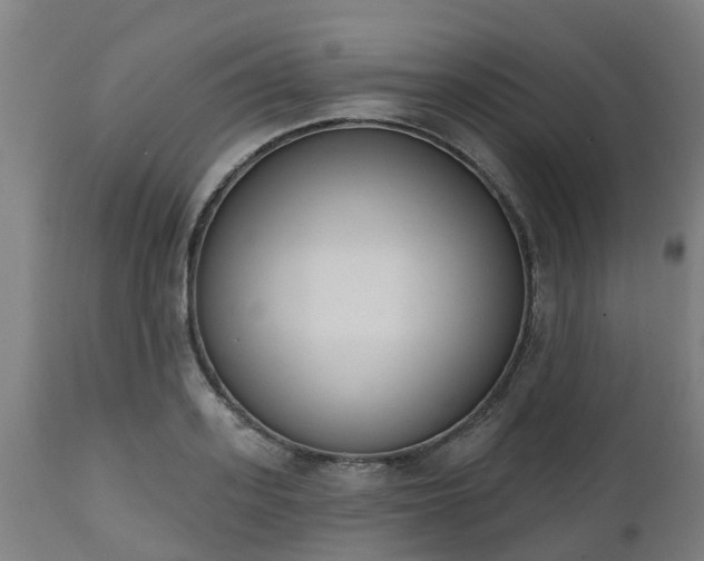 X0000112500939200908241346