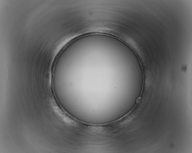 X0000112500940200908241346