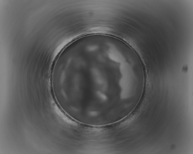 X0000112500941200908241346