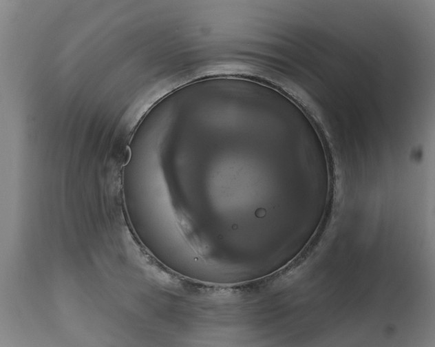 X0000112500945200908241346