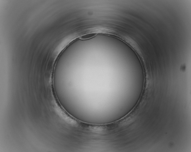 X0000112500946200908241346