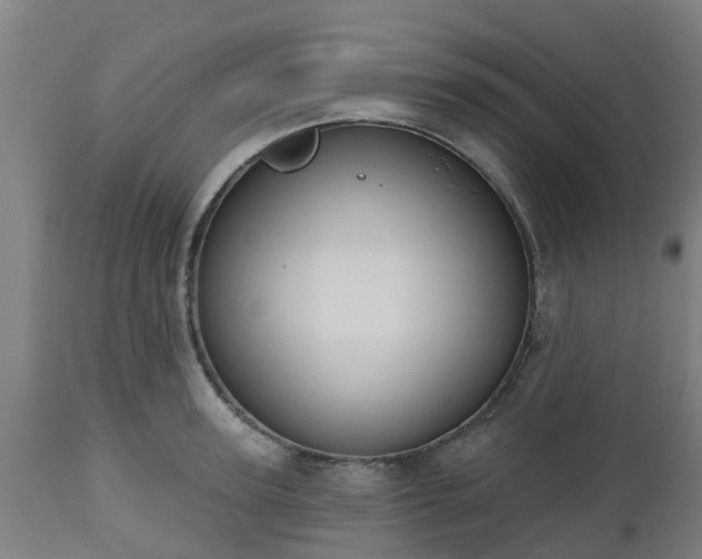 X0000112500947200908241346