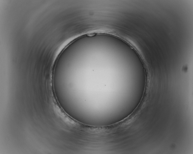 X0000112500948200908241346