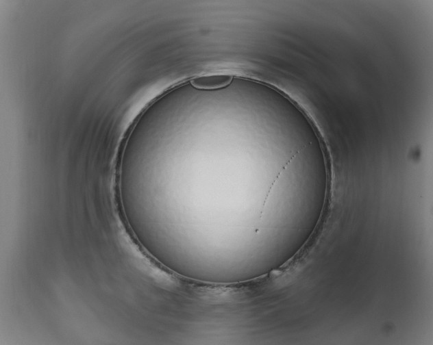 X0000112500949200908241346