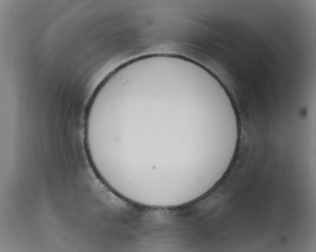 X0000112500950200908241346