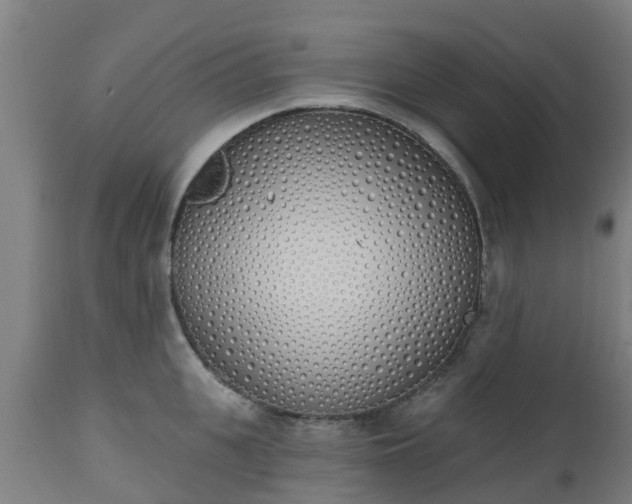 X0000112500951200908241346