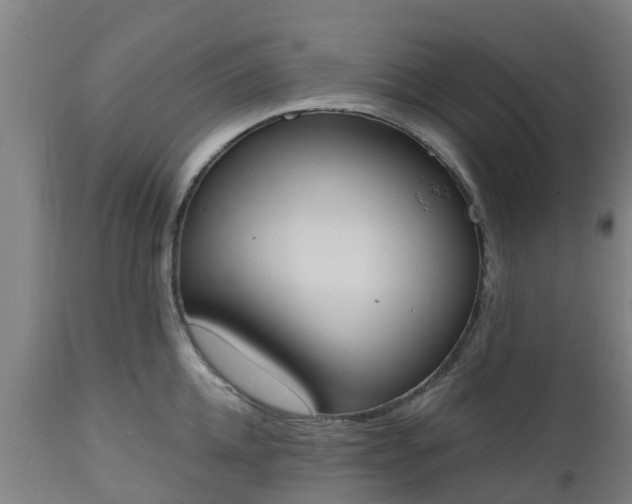 X0000112500952200908241346