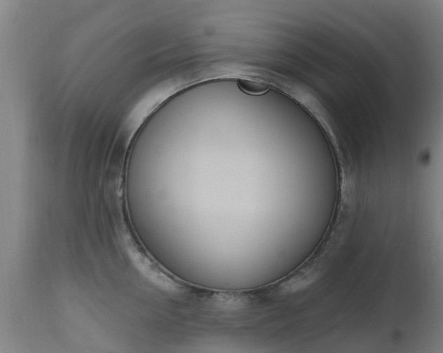 X0000112500954200908241346