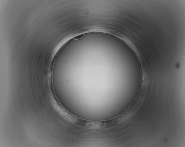 X0000112500955200908241346